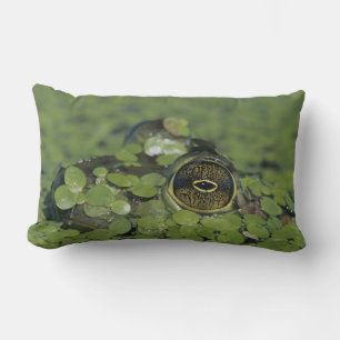 Bullfrog, Rana catesbeiana, adult in duckweed Lumbar Cushion