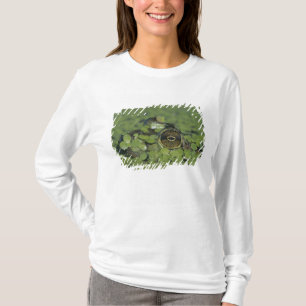 Bullfrog, Rana catesbeiana, adult in duckweed T-Shirt