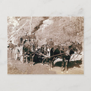 Bullion Stage Coach Vintage Postcard
