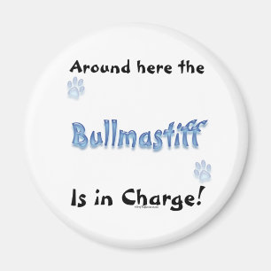 Bullmastiff Charge - Magnet