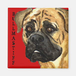 Bullmastiff Colour Block Magnet