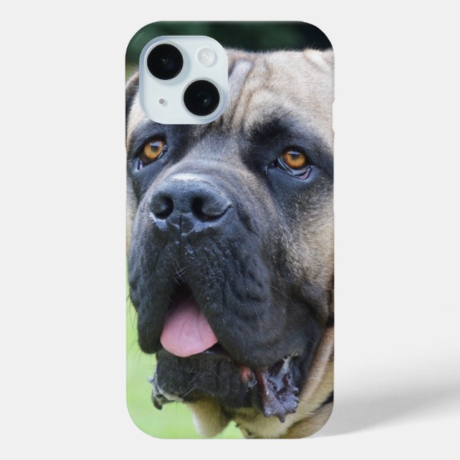 Bullmastiff Face Case-Mate iPhone Case (Back)