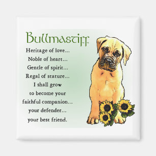 Bullmastiff Gifts Magnet