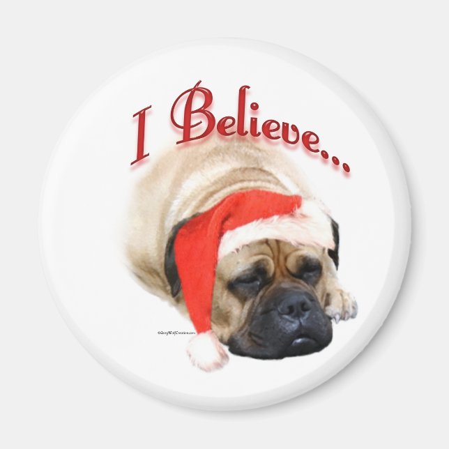 Bullmastiff I Believe - Magnet (Front)