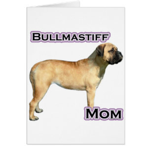 Bullmastiff Mum 4
