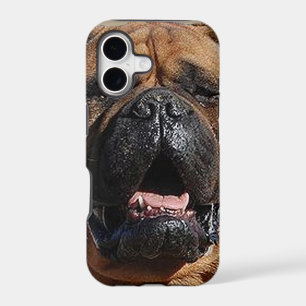 bullmastiff.png