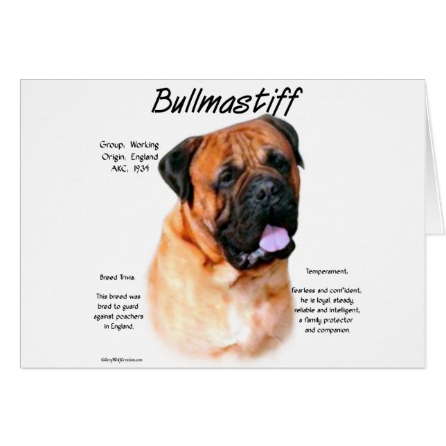 Bullmastiff (red) History Design (Front Horizontal)