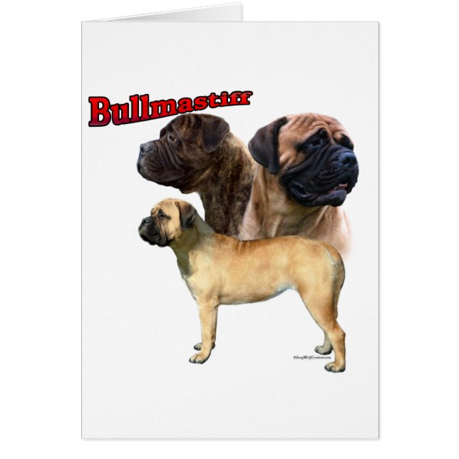 Bullmastiff Trio 2 (Front)