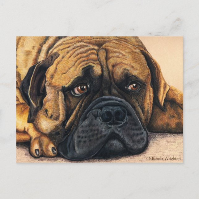 Bullmastiff Waiting - Dog Breed Art Postcard (Front)