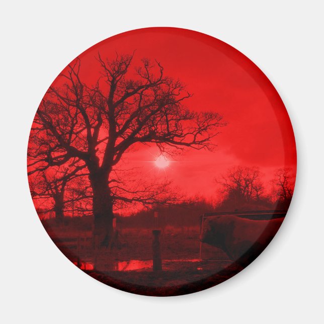 BULLS MAGNET (Front)