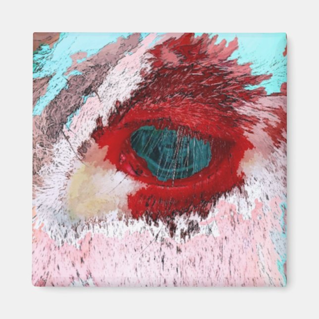 BULLS MAGNET (Front)