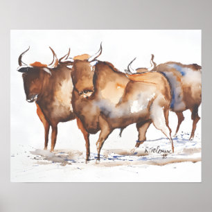 Bulls Poster