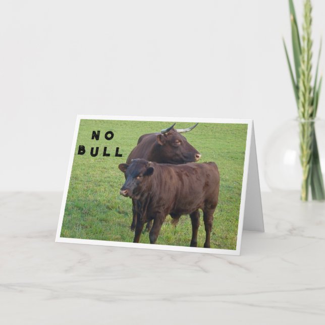 BULLS SAY *NO BULL* YOU CAN'T BE **40** CARD (Front)