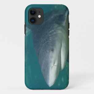 Bullshark iPhone 11 Case