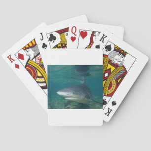 Bullshark Playing Cards