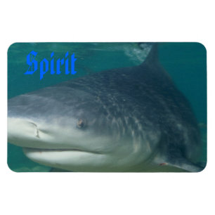 Bullshark Spirit Magnet
