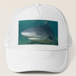Bullshark Trucker Hat