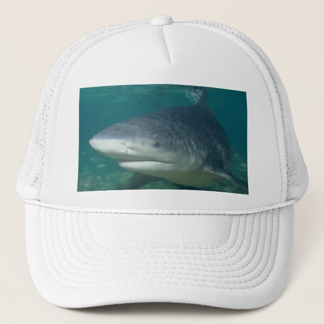 Bullshark Trucker Hat (Front)