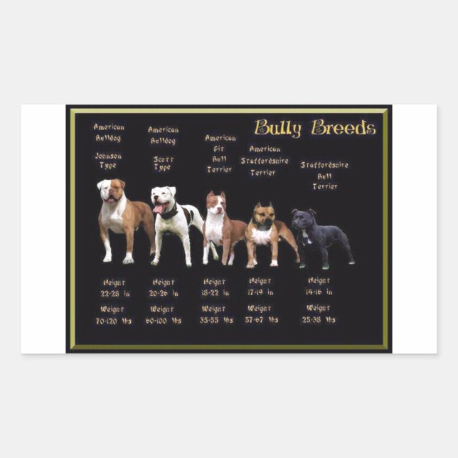 Bully Breeds Rectangular Sticker (Front)