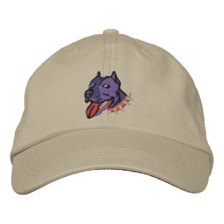 Bully Cap