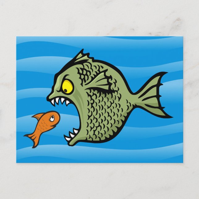 Bully Fish Postcard (Front)