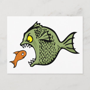 Bully fish postcard