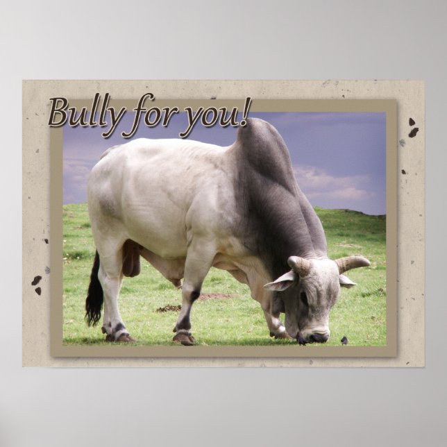Bully For You! Brahma Bull Poster Print (Front)