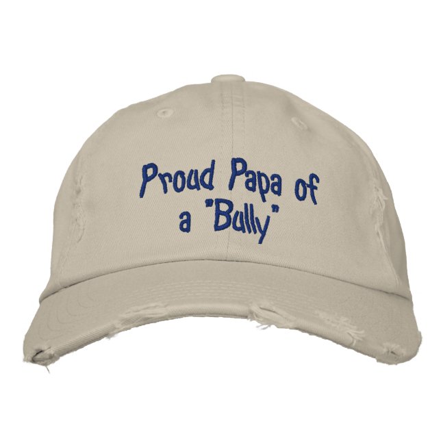 bully hat (Front)