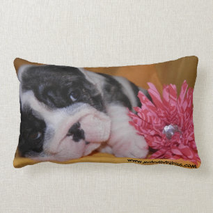 Bully Love Bulldog Pillow