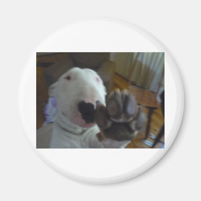 bully paw magnet (Front)