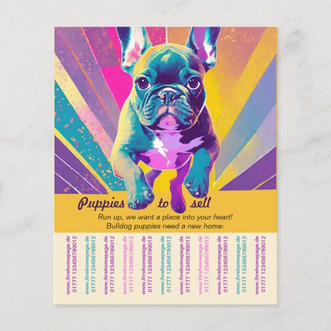 Bully puppy for sale flyer templates (Front)