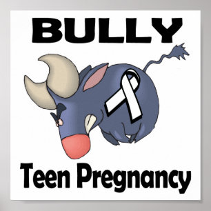BULLy Teen Pregnancy Poster
