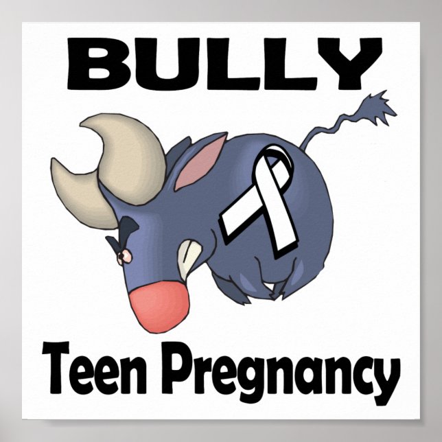 BULLy Teen Pregnancy Poster (Front)
