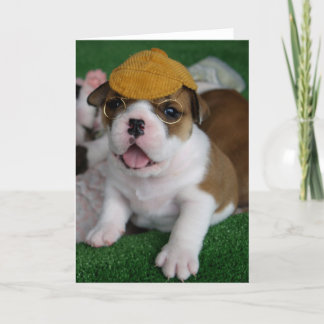 BullyBreeze - Chill - Chillin' Out - Greeting Card