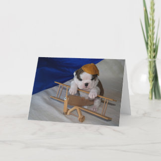BullyBreeze - Pania - Aviator - Greeting Card
