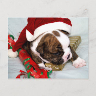 BullyBreeze - Spot The Dot - Gift Time - Postcard