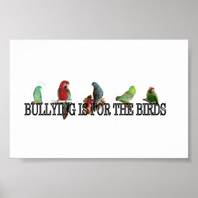 Bullying is for the birds Poster (Front)