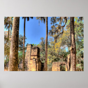 Bulow Plantation, Florida Poster
