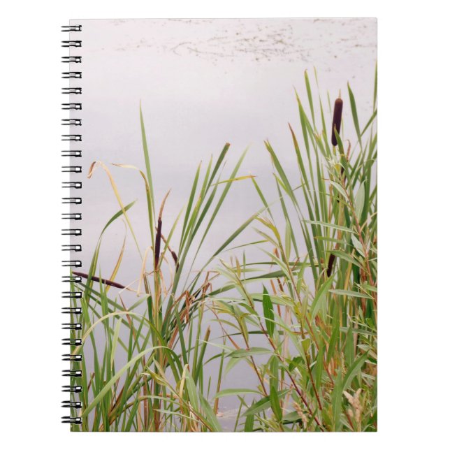 Bulrushes By Water Notebook (Front)