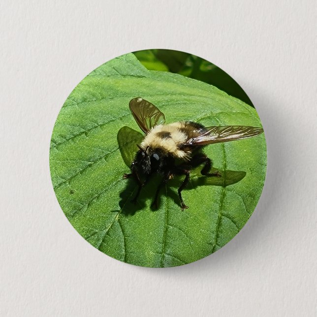 Bumble Bee 6 Cm Round Badge (Front)