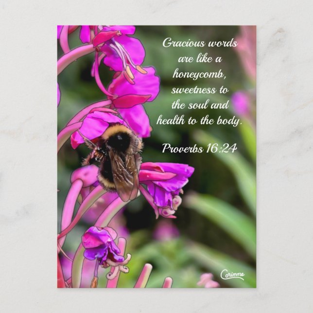 Bumble Bee Bible Verse - Postcard (Front)