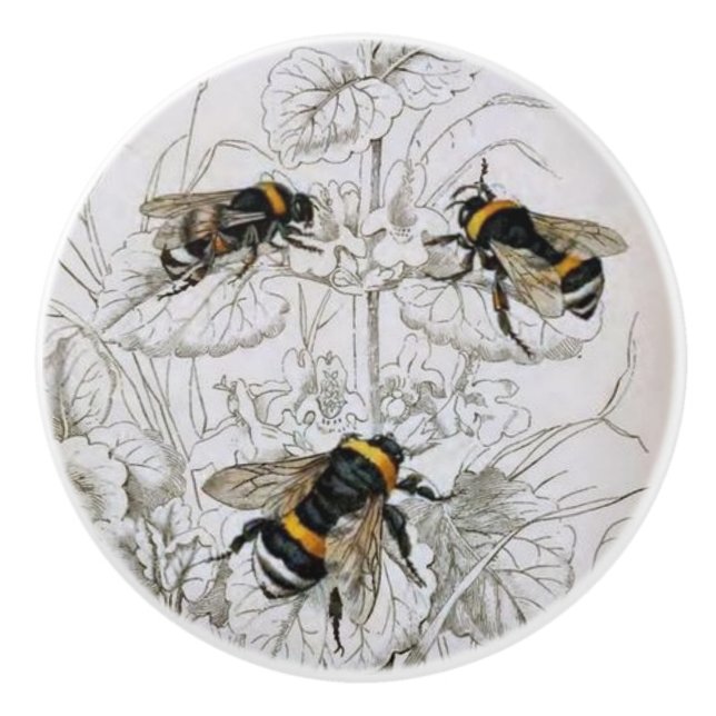 Bumble Bee Botanical  Ceramic Knob (Front)