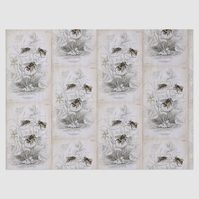 Bumble Bee Botanical Tissue Paper (Front)