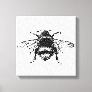 Bumble Bee Canvas Print