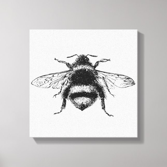 Bumble Bee Canvas Print (Front)