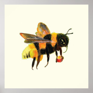 Bumble Bee carrying pollen   Poster