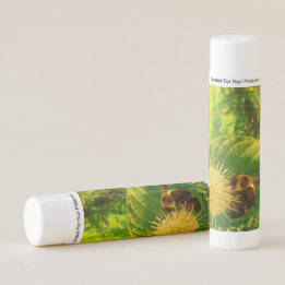 Bumble Bee Feeding on Nectar Lip Balm