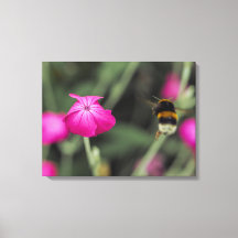 Bumble Bee Flying Towards Flower Botanical Photo