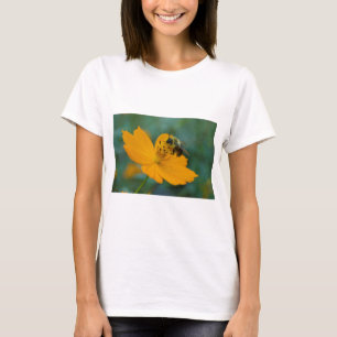 Bumble Bee Gathering Pollen On An Orange Cosmos. T-Shirt