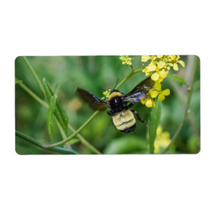 Bumble Bee in Flight